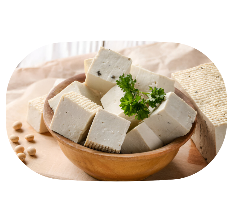 GDM exports is India's premium tofu manufacturer and supplier