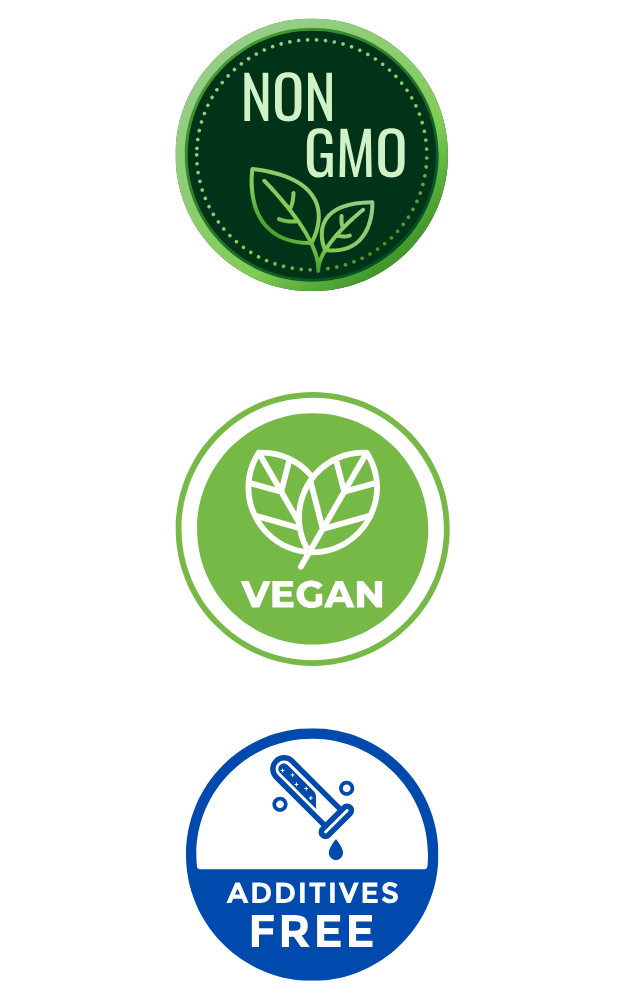 gdm exports is the best tofu manufacturer and supplier in india