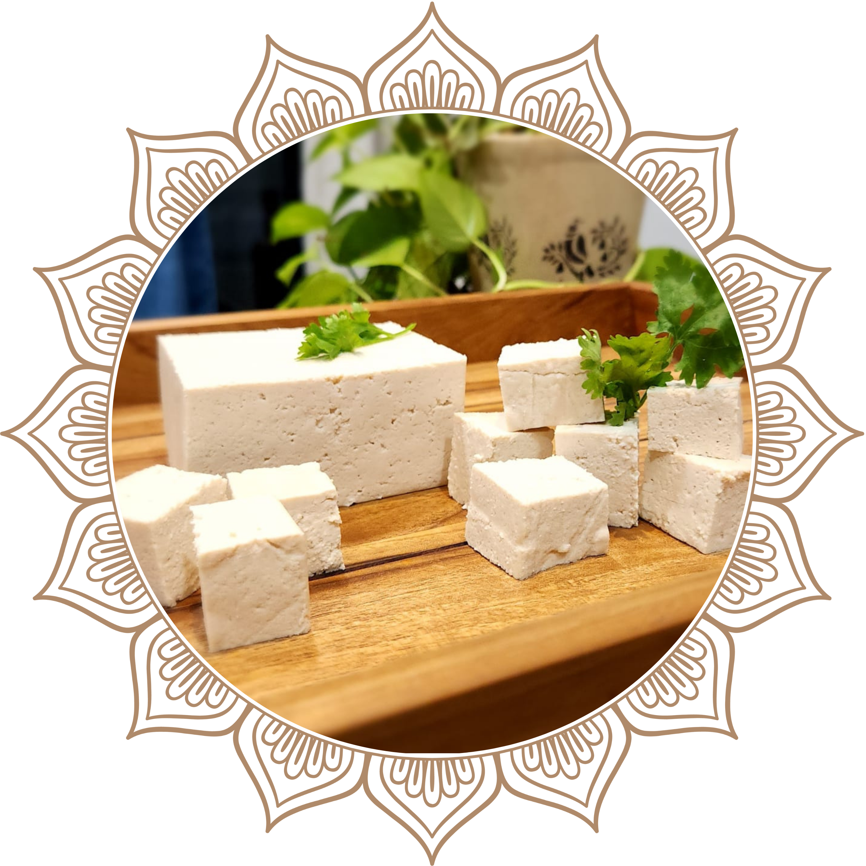 Premium Tofu by GDM Exports
