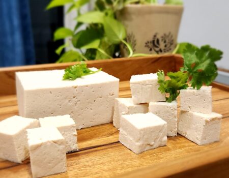 Tofu nutrition and tofu market india